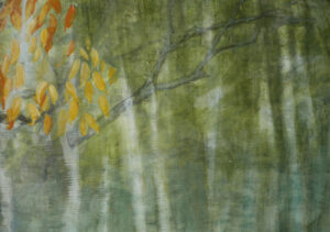 Tanja Robisch, Kunst , Gemälde Reutlingen, Schatten